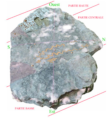 La pierre tabulaire du dolmen du Pied de la Vache et ses serpentiformes